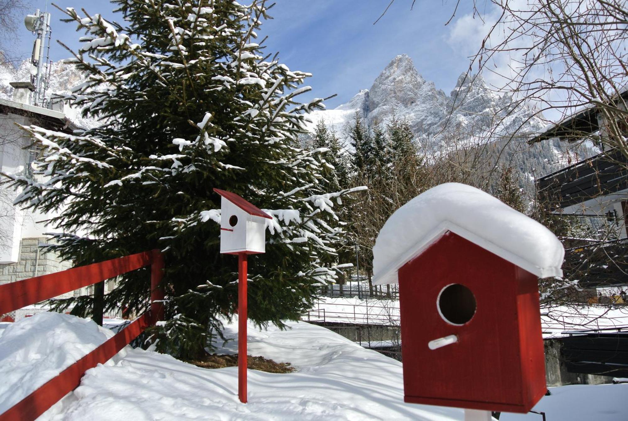 Hotel Regina San Martino Di Castrozza Exterior foto
